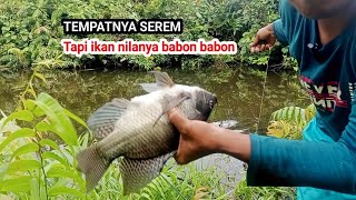 Download lagu SPOT TERBENGKALAI, TAPI SARANG IKAN NILA BABON mp3