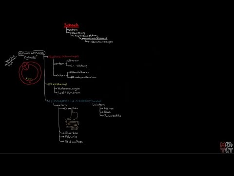 Kreislaufschock (2/7) - Hypovolämischer Schock (Vorschau)