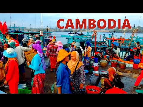 Cambodian Fish Market Day Trip | Kampot
