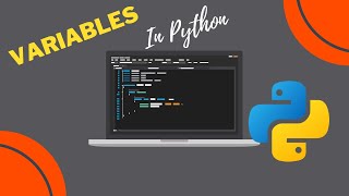 Download the video "Variables in Python"