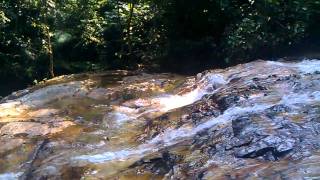preview picture of video 'KL Waterfall in Templer park'