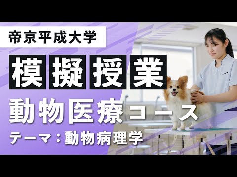 【帝京平成大学】模擬授業動画 健康医療スポーツ学部 医療スポーツ学科 動物医療コース