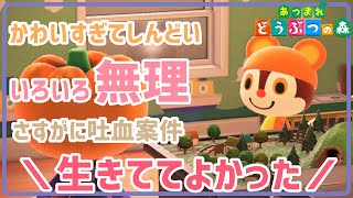 ハロウィンのおかげでぎゃんかわなチャスが拝めましたありがとうございます【あつまれどうぶつの森】【実況】