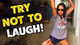 TRY NOT TO LAUGH #22 | Hilarious Videos 2019