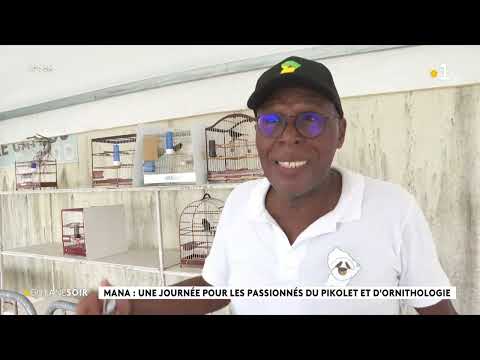 mana chants pikolets association ornithologie chris chaumet max attica christian thuriaf