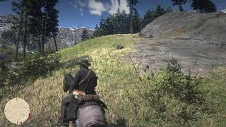 RDR2 5周目 #152