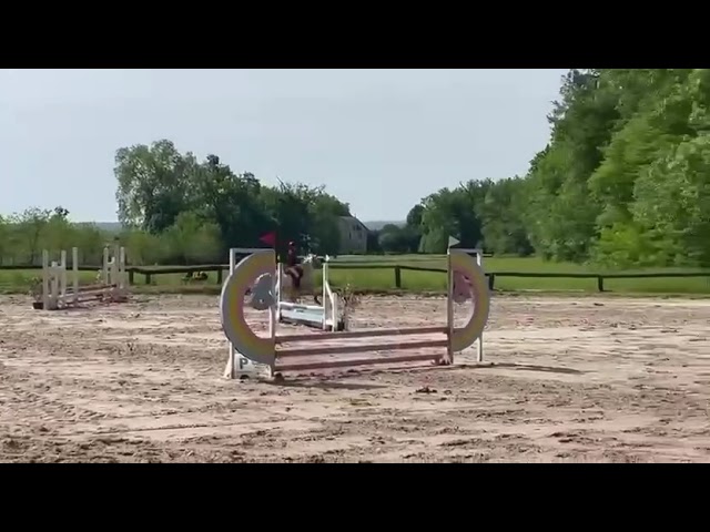 Poney B
