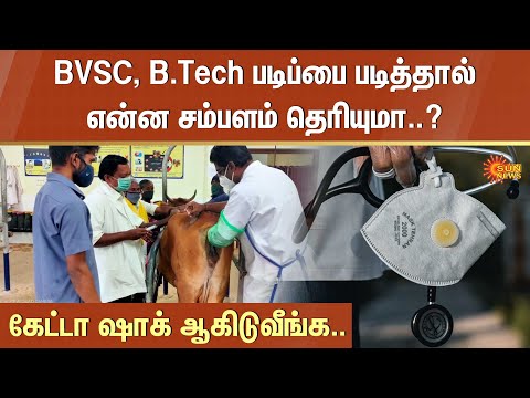 BVSC, B.Tech | College Groups | Veterinary Doctor | More Salary | Degree | Sun News