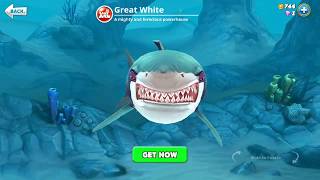 hungry shark world, great white (3D Motion)