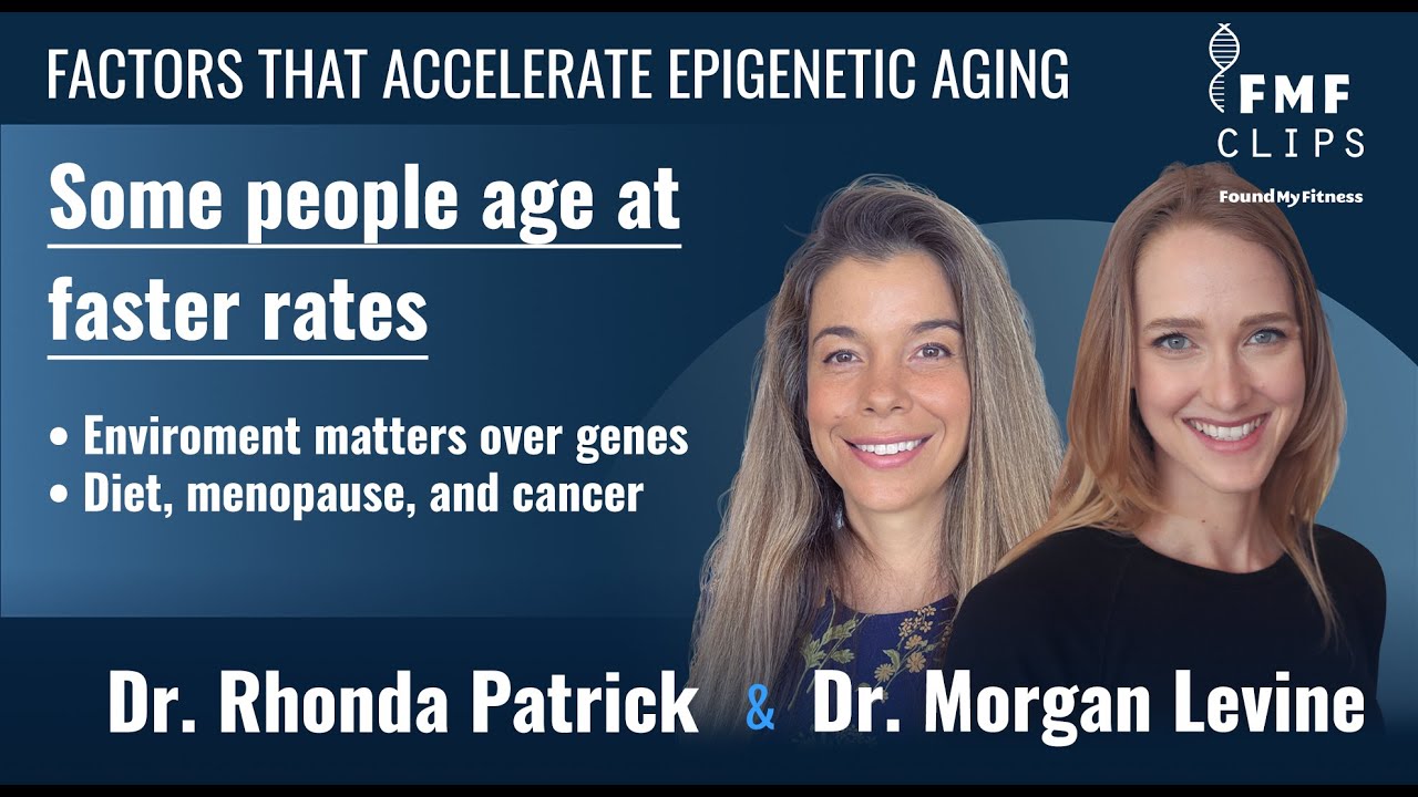Factors that accelerate or slow aging Dr. Levine
