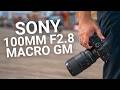 Sony FE 100mm F2.8 Macro GM Hands On | More Than 1:1 Magnification!