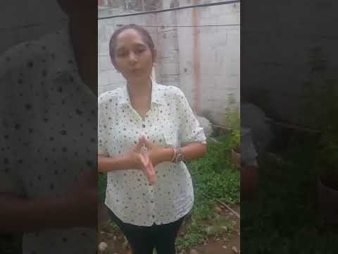 Testimonio de la acción solidaria – Taller de música en la vereda Monte Bello, Astrea – Cesar