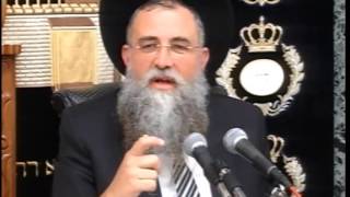 פרשת אמור תשע"ו