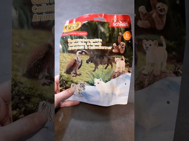 Vídeo relacionado con Schleich- Figura de Lémur de Cola anillada, Colección Wild Life, 7.6 cm (14827)