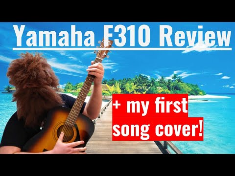 Yamaha F310 Acoustic Guitar Review!