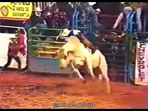 🇧🇷 Adriano Moraes x Primata #rodeio #rodeo