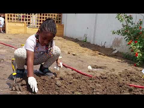 PYP Reception Farmer's Day