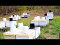 Expanding Your Apiary