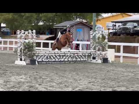 CHERRYBROOK DIANA video 3
