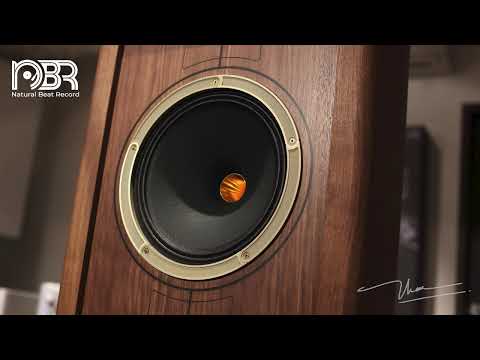 HI RES AUDIOPHILE TEST - DEEP BASS & VOCAL - AUDIOPHILE NBR MUSIC