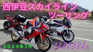 ２０２４年３月 平日ツーリング　西伊豆スカイライン　ＶＦＲ８００Ｆ　ＣＢＲ６００ＲＲ　アクスルシャフト　ゼロポイントシャフト　やぶ誠