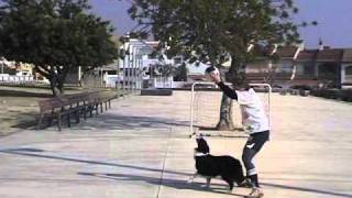 ANIMALES FÚTBOL CLUB