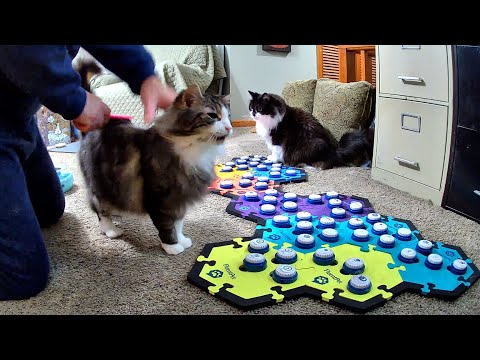 Glamour Being Spicy And Todd Telling Me Food Goes In His Belly When He Eats