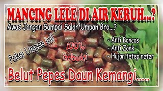 Download lagu UMPAN JITU BELUT PEPES DAUN KEMANGI | COCOK MANCING LELE DI AIR KERUH YG SUSAH MAKAN mp3