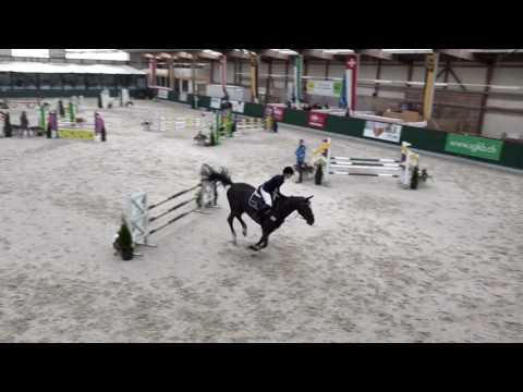 Sportpferde RG, 6 jährige Mecklenburger Stute v. Cyrell x Zeus