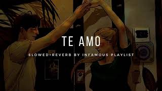 Te Amo Duet [Slowed+Reverb] - Ash King & Sunidhi Chauhan | Infamous Playlist