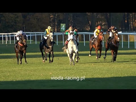 Gon. X - 31.10.2021 - Philbert (Battle of Marengo - Tea Chest)