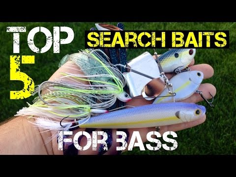 Top 5 Search Baits for Bass