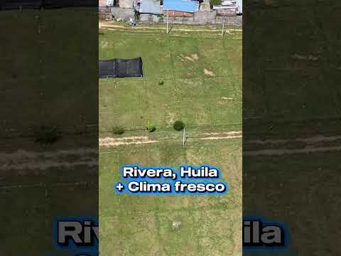 Últimos Lotes disponibles para la venta en Rivera Huila. #lotesbalmoral