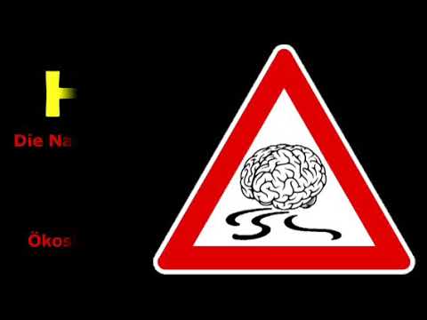 Radfahren gegen Rechts. Regensburg, Regenstauf. AfD. Skinheads. Die PARTEI. LINKE gegen AfD. Klima