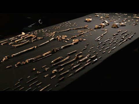 Hallan en África al posible eslabón perdido