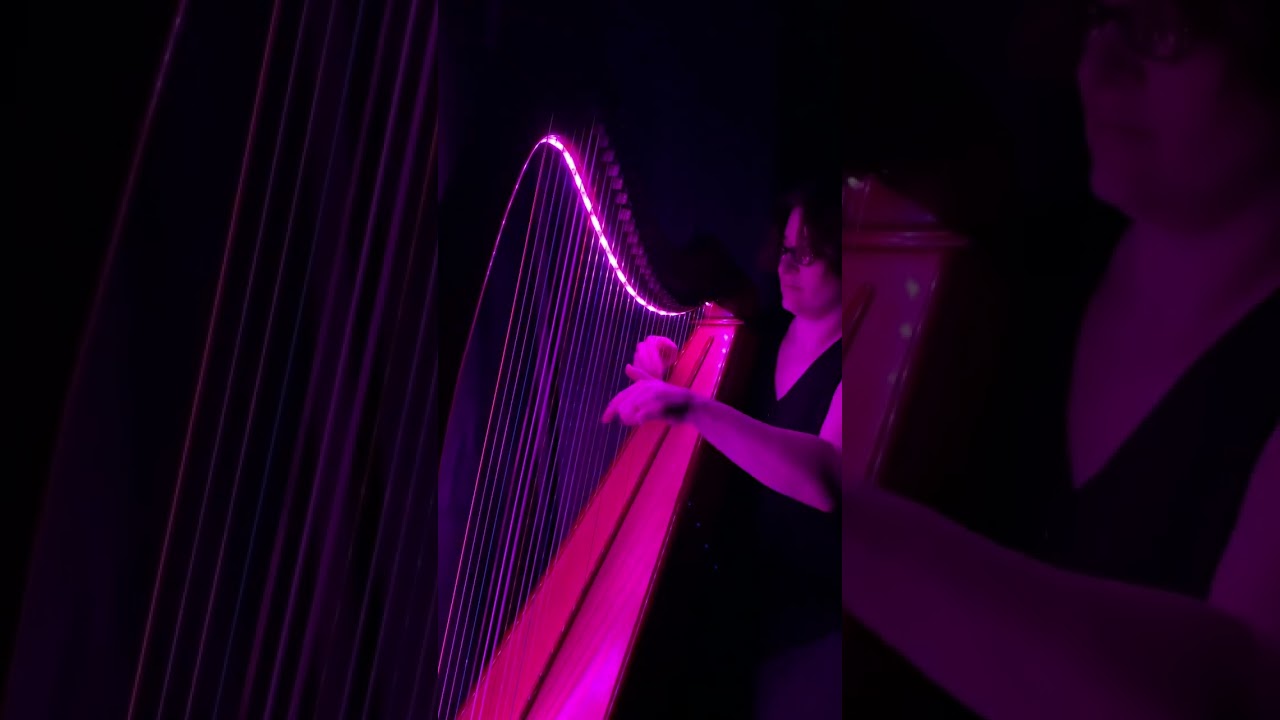 Promotional video thumbnail 2 for The Illuminated Harpist