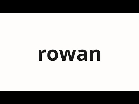 How to pronounce rowan | 로완 (rowan in Korean)