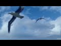 The Wind, the Cry ennio morricone - Olgha Olgha43 The Wind, the Cry ennio morricone