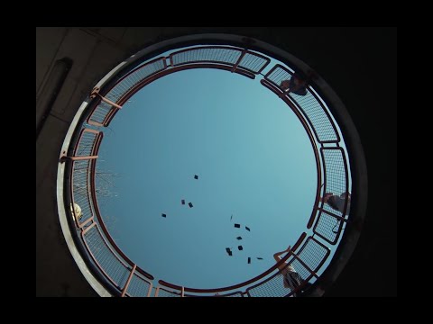 marko damian — mravce