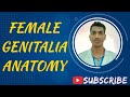 Female Genitalia Viscera Bangla Anatomy Prof Viva Mbbs Viscera