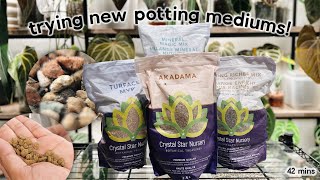 new soil-free substrates & a farewell to one of my fave plants 😭 / the wednesday repot #01
