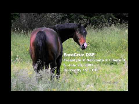 FaraCruz DSF 6 minutes