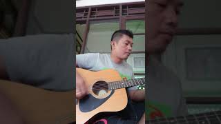 Download lagu Burung pribadi mp3