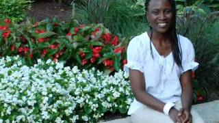 You are the pillar audio