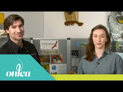 Wildlife Rehabilitation Society of Edmonton - Customer Success Story (Dale Gienow - Wildlife Rehabilitation Society of Edmonton)