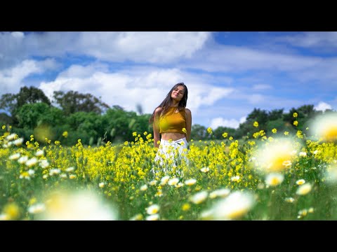 Bokor - Mesmo a Saber