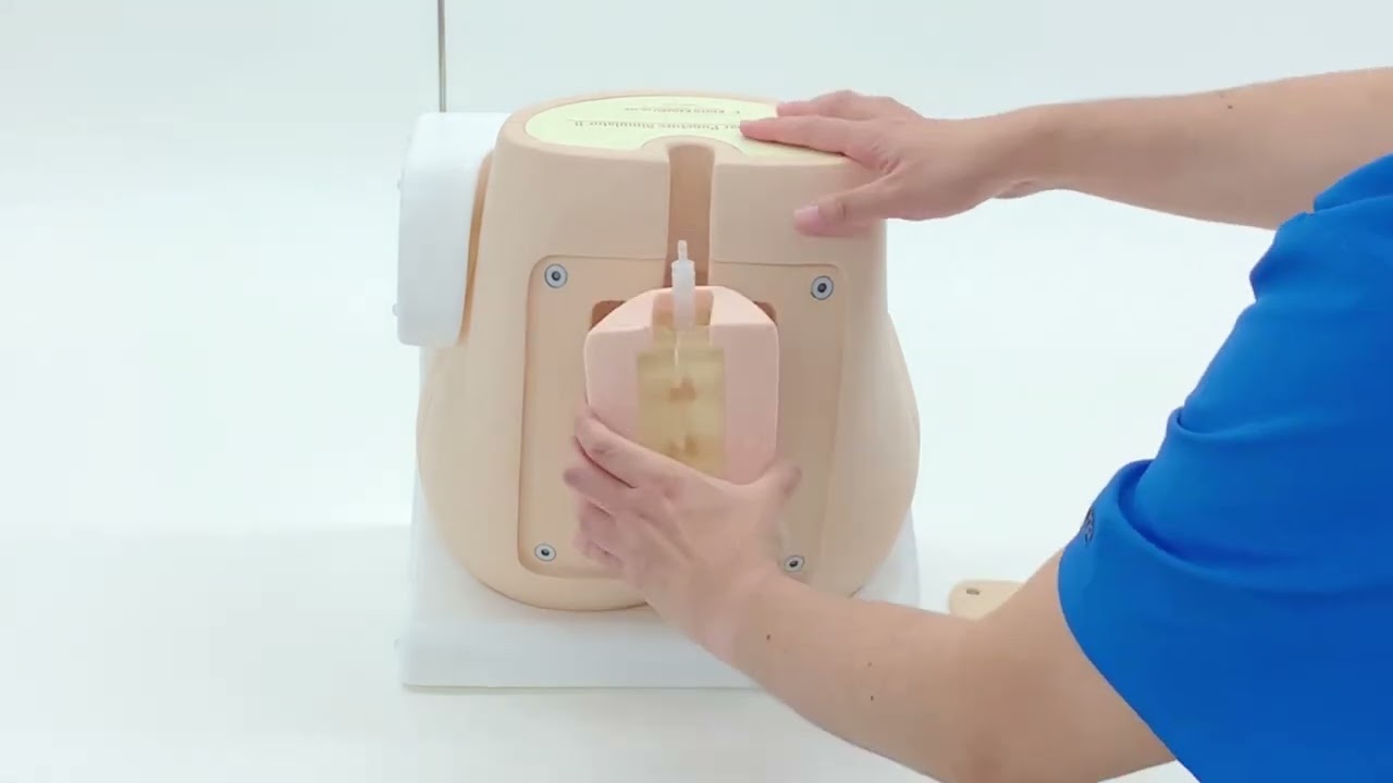 M43B Lumbar Puncture Simulator II with new supporting stand