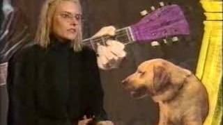 aimee mann - The Music Biz