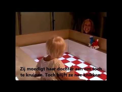 Visual Cliff Experiment Groepswerk