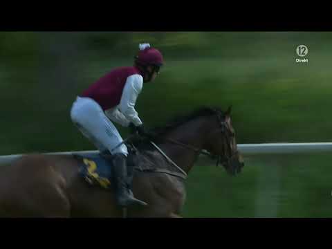 Svenskt Grand National 2023